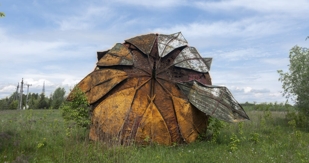 abandoned strawberry